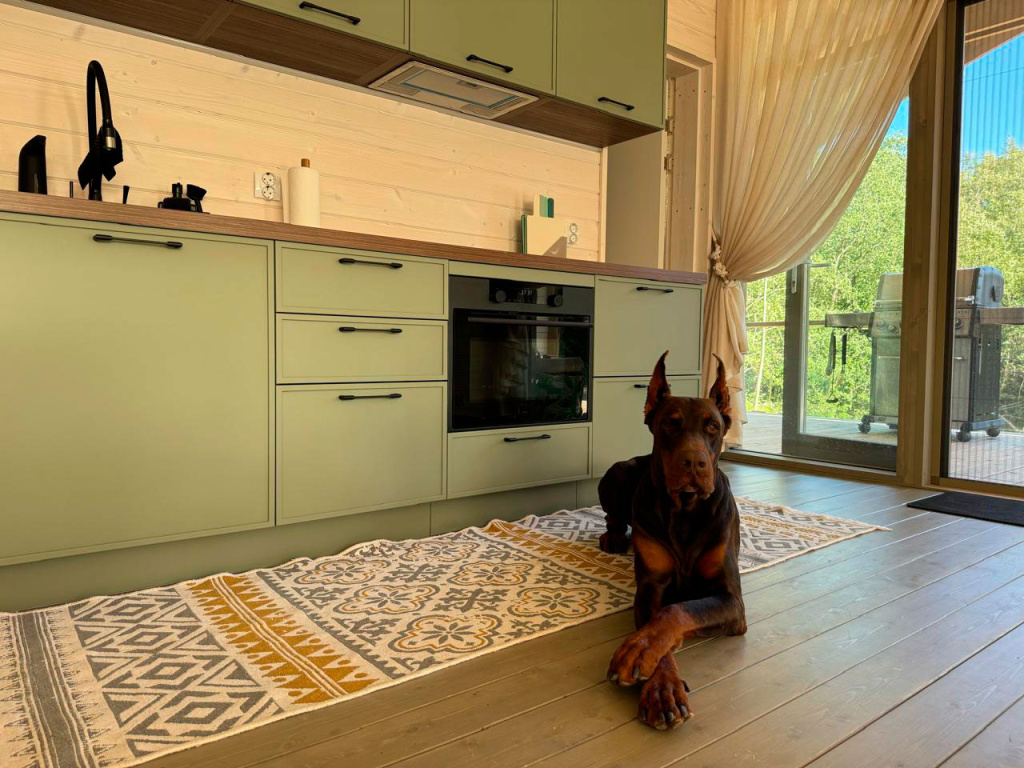 Компактная кухня в просторном загородном экодоме - фото №6