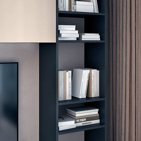 Распашной шкаф в гостиную - детальное фото № 3