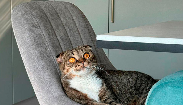 «Это был очень психотерапевтический заказ»